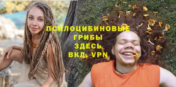 трава Иннополис