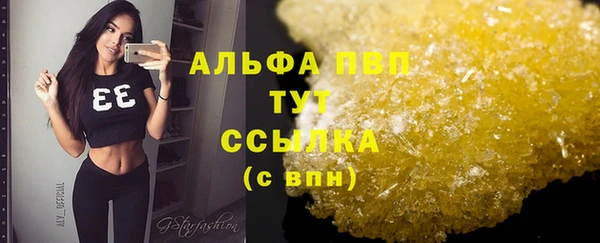 амф Инта