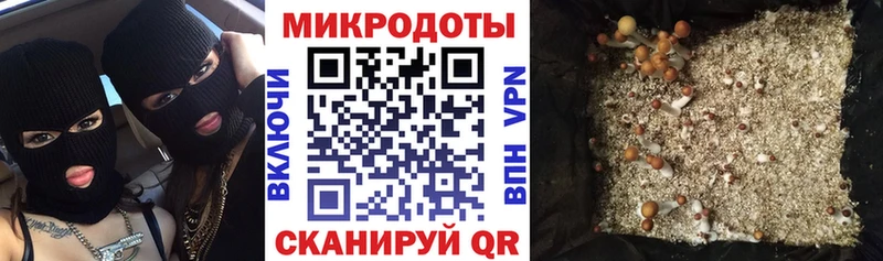 Псилоцибиновые грибы GOLDEN TEACHER  Купить  Севск 