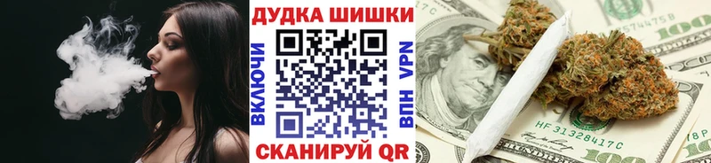 Купить где  Севск  Каннабис индика 
